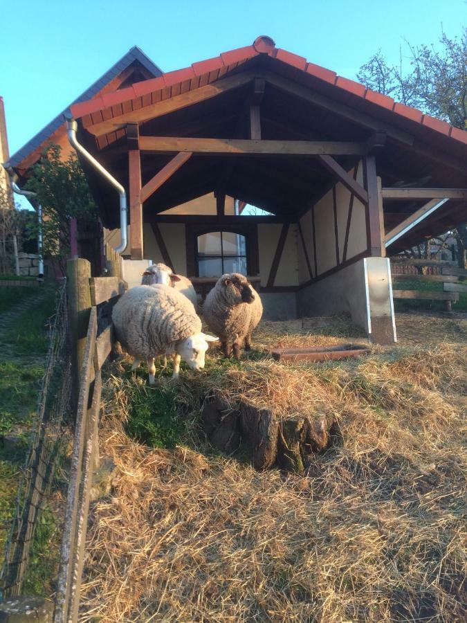 Ferienwohnung Saaletalblick Jena Esterno foto